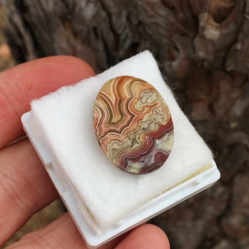 Rare Quality! Old Stock Crazy Lace Agate Mexico GLI Litnon.com