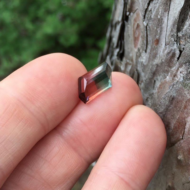 Collectors Red - Blue Bi-Color Tourmaline Nigeria 4.65 carats GLI Litnon.com