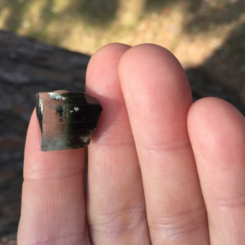 Collectors Achroite and Schorl Tourmaline Specimen Afghanistan GL Litnon.com