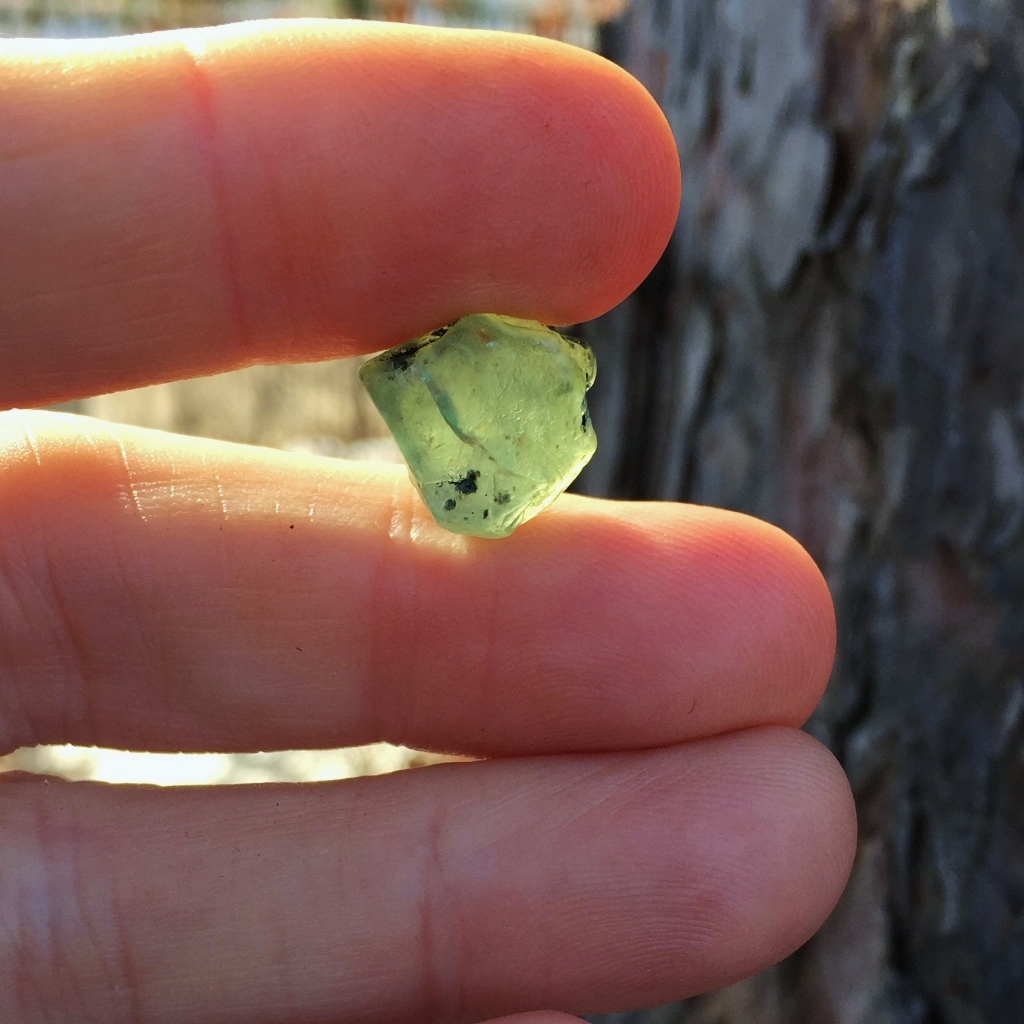 Unheated Montana Sapphire Facet Rough 18.26 Carats Litnon.com
