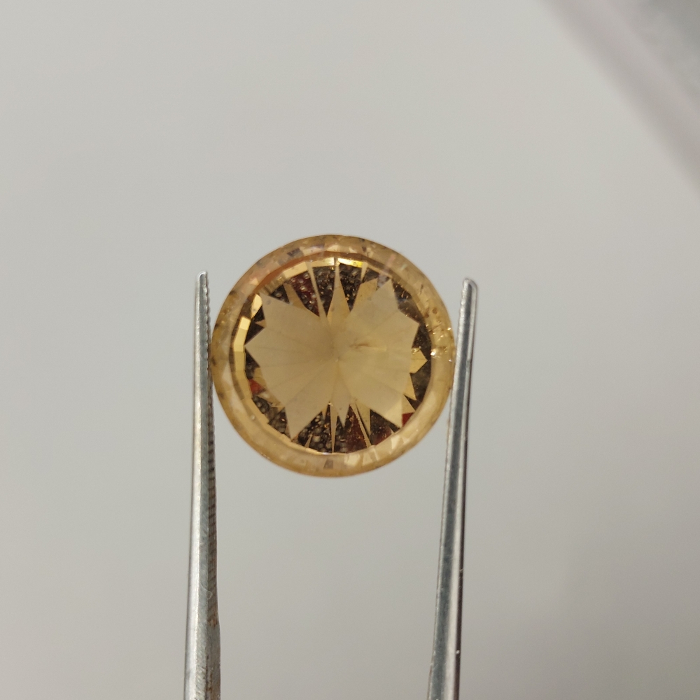 Unique Citrine with Butterfly Gemstone 7.01 Carats Litnon.com