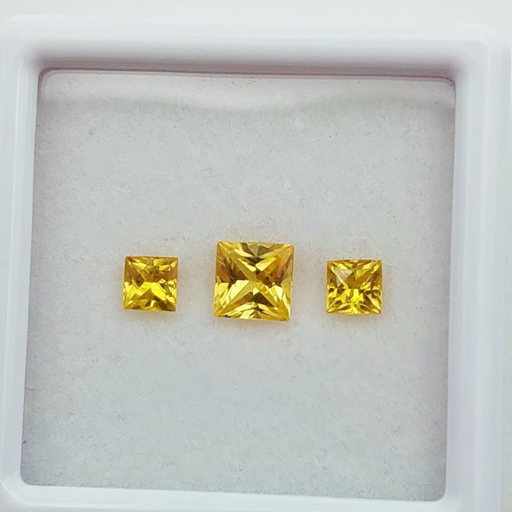 Quality Color & Cut Rich Yellow Montana Sapphires 0.88 Carats TW Litnon.com