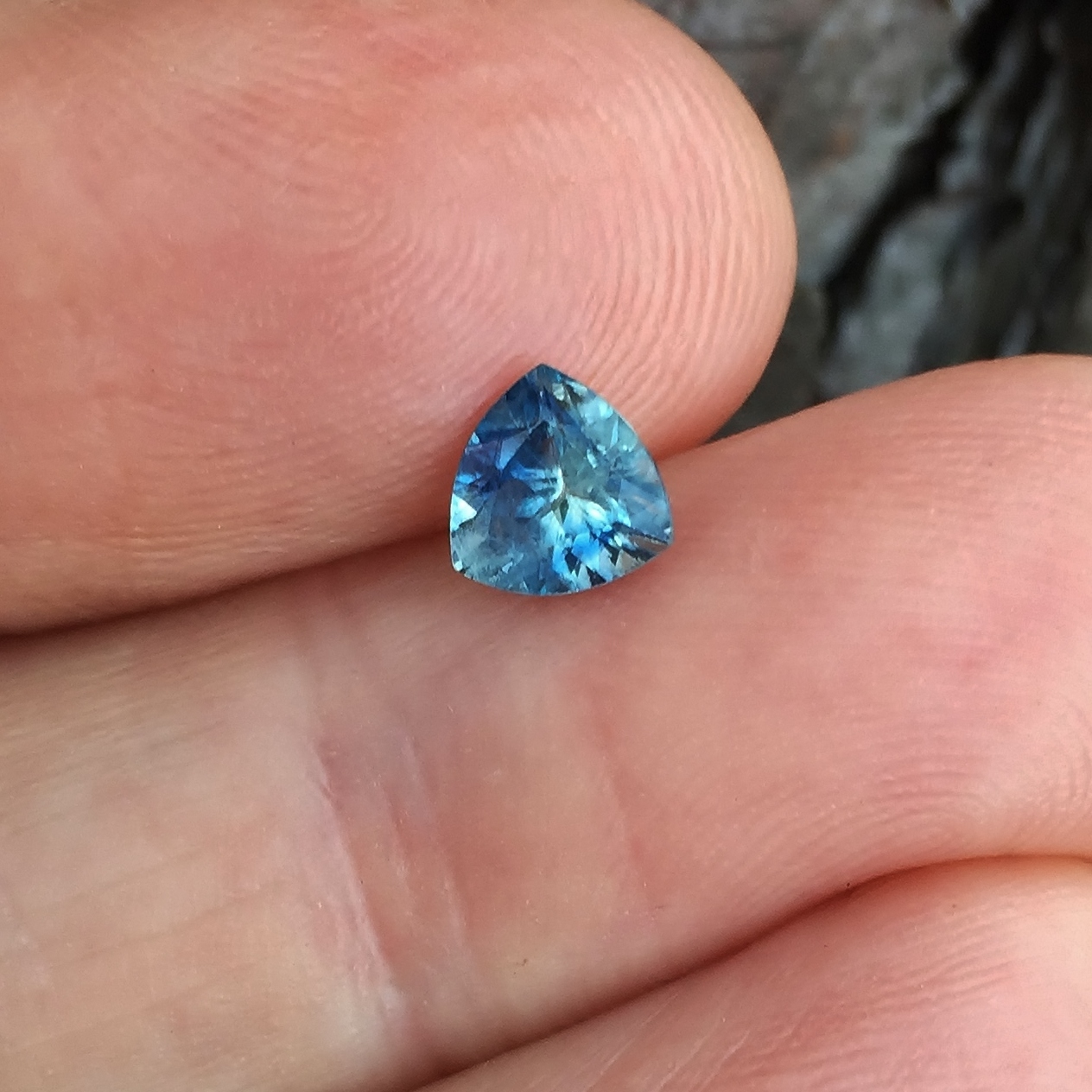 American Gem Natural Montana Sapphire 0.98 Carats Litnon.com