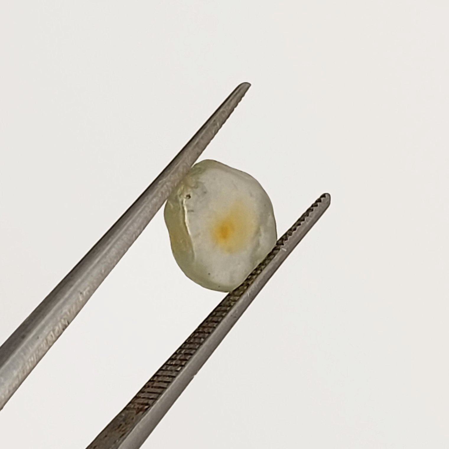 American Gem Natural Montana Sapphire Rough Flat 3.05 Carats Litnon.com