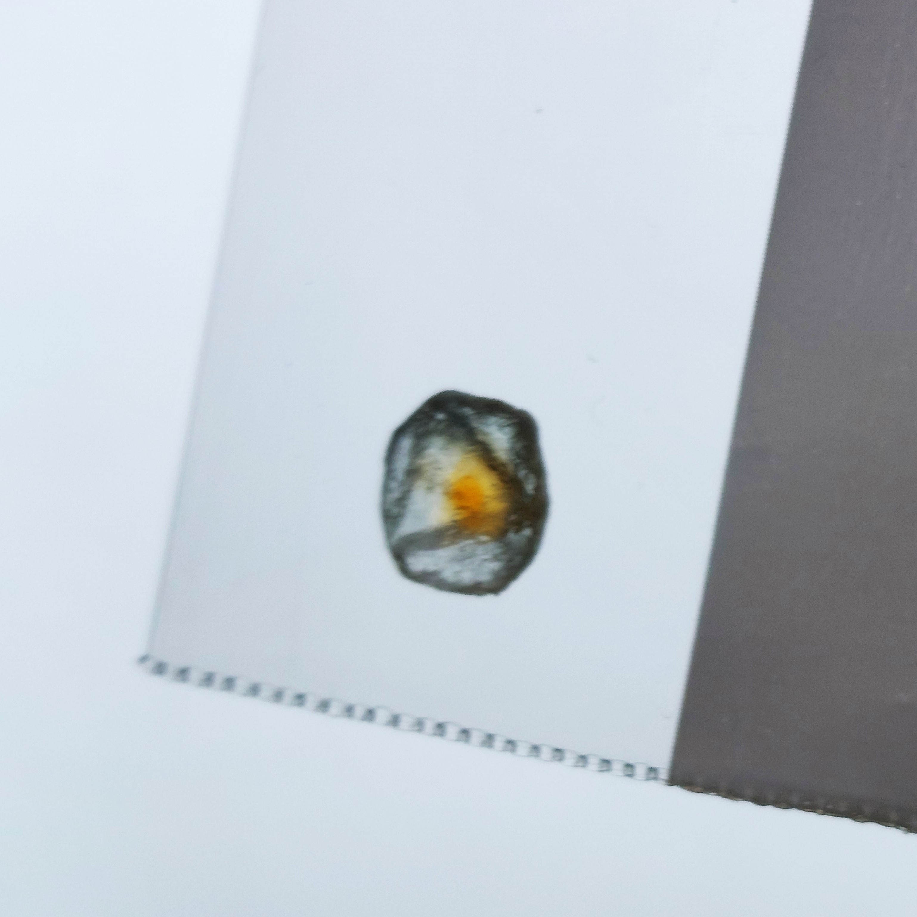 Record Keeper Montana Sapphire Rough 2.62 Carats Litnon.com