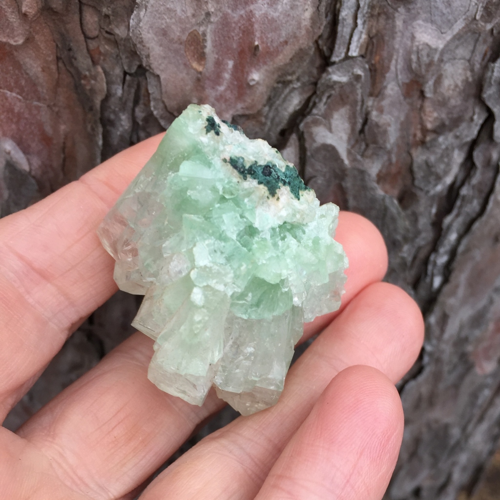 Rare Green Well Pocket Apophyllite Specimen India 45 grams Litnon.com