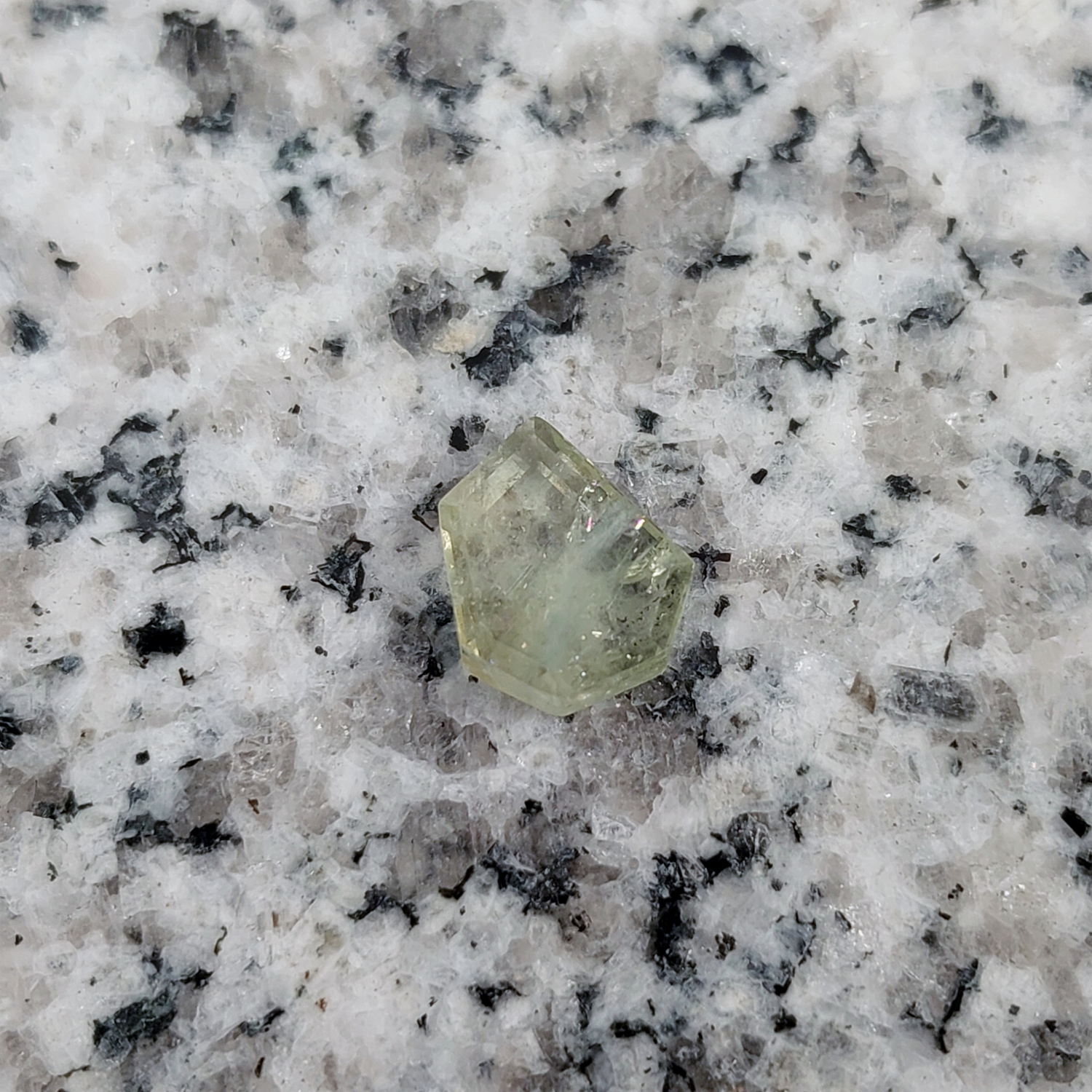 Natural Montana Sapphire Flat Cut 1.82 Carats Litnon.com