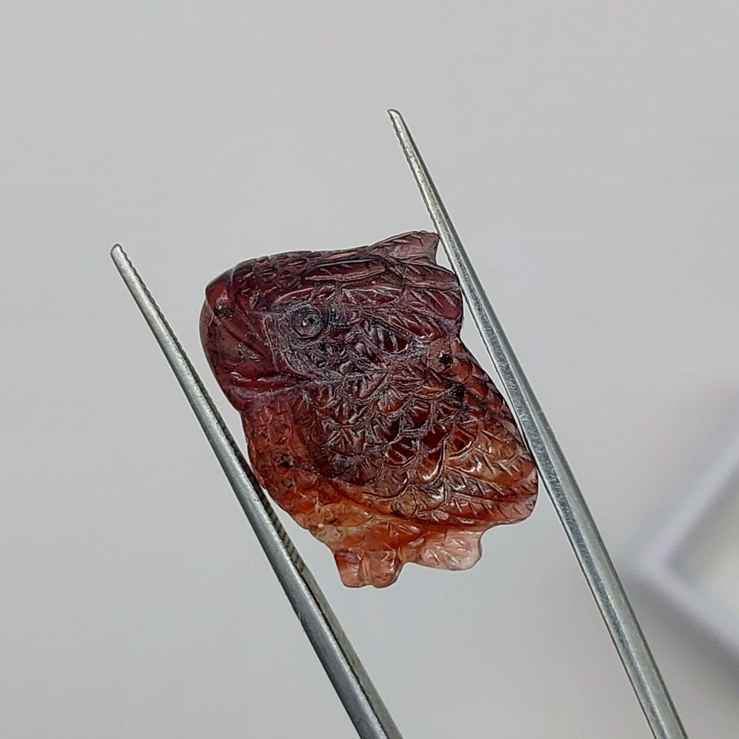 Natural Multi-Color Banded Tourmaline Hand-Carved Koi Fish 13.50 Carats Litnon.com