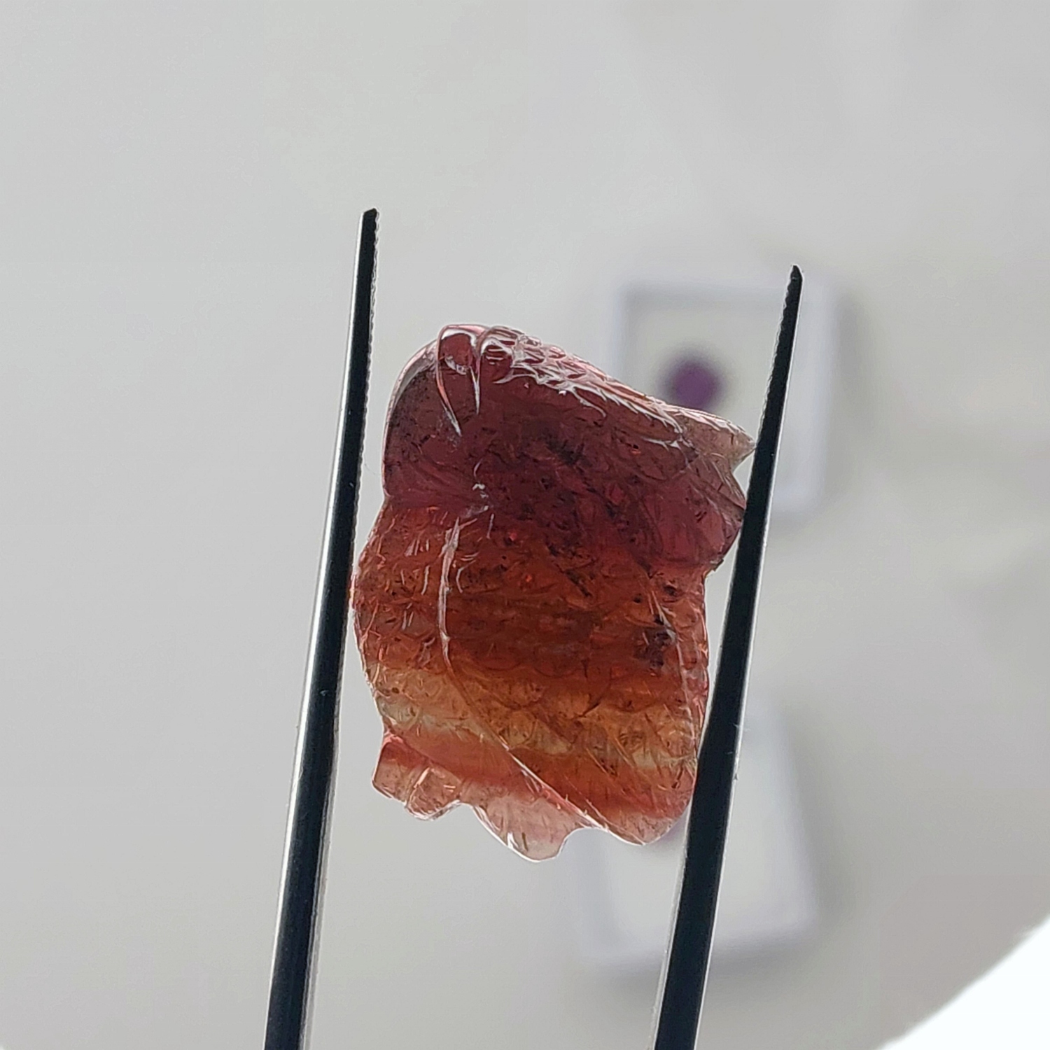 Natural Multi-Color Banded Tourmaline Hand-Carved Koi Fish 13.50 Carats Litnon.com