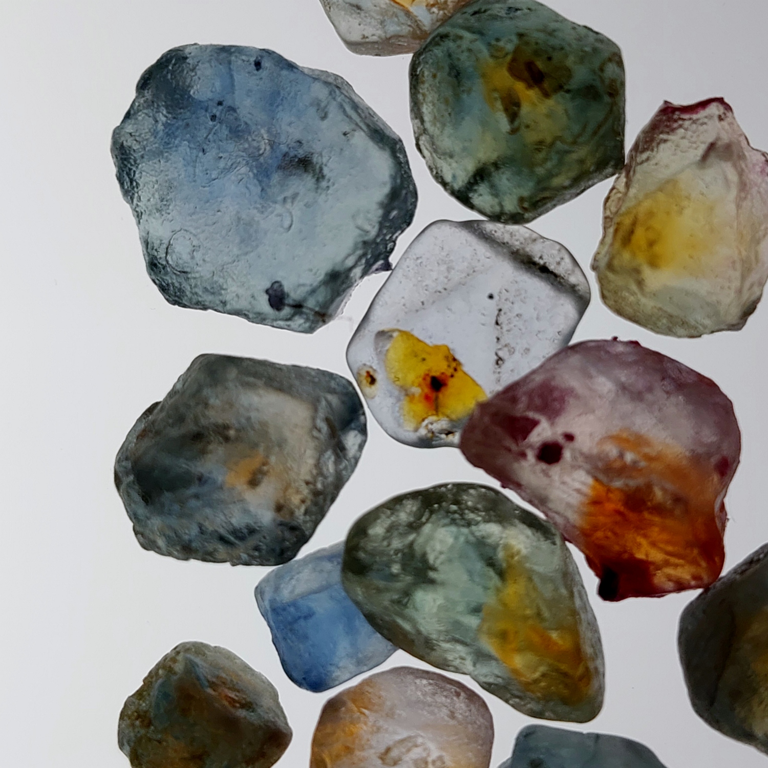 Natural Montana Sapphire Facet Rough 48.38 Carats Litnon.com