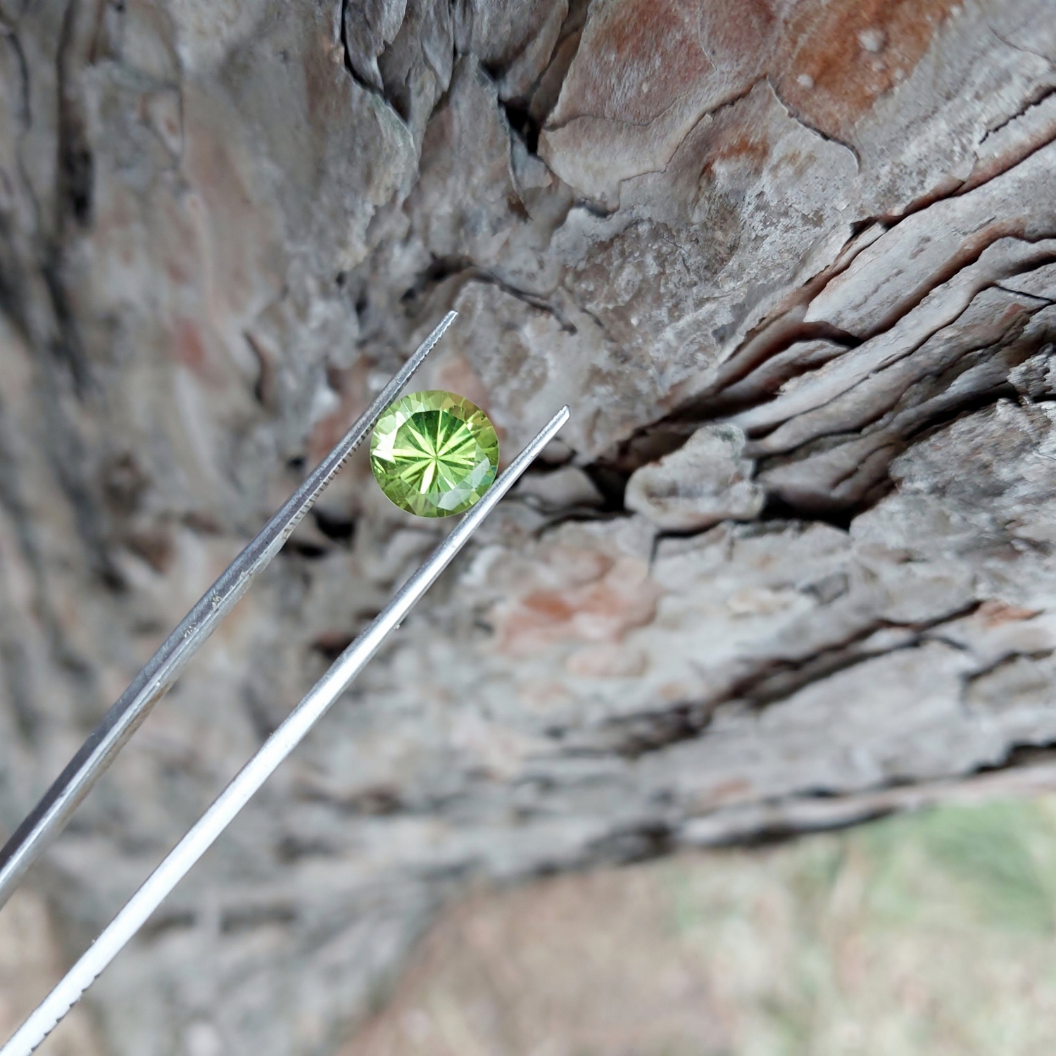 Fine Quality Bright and Pretty Arizona Peridot 2.81 Carats Litnon.com