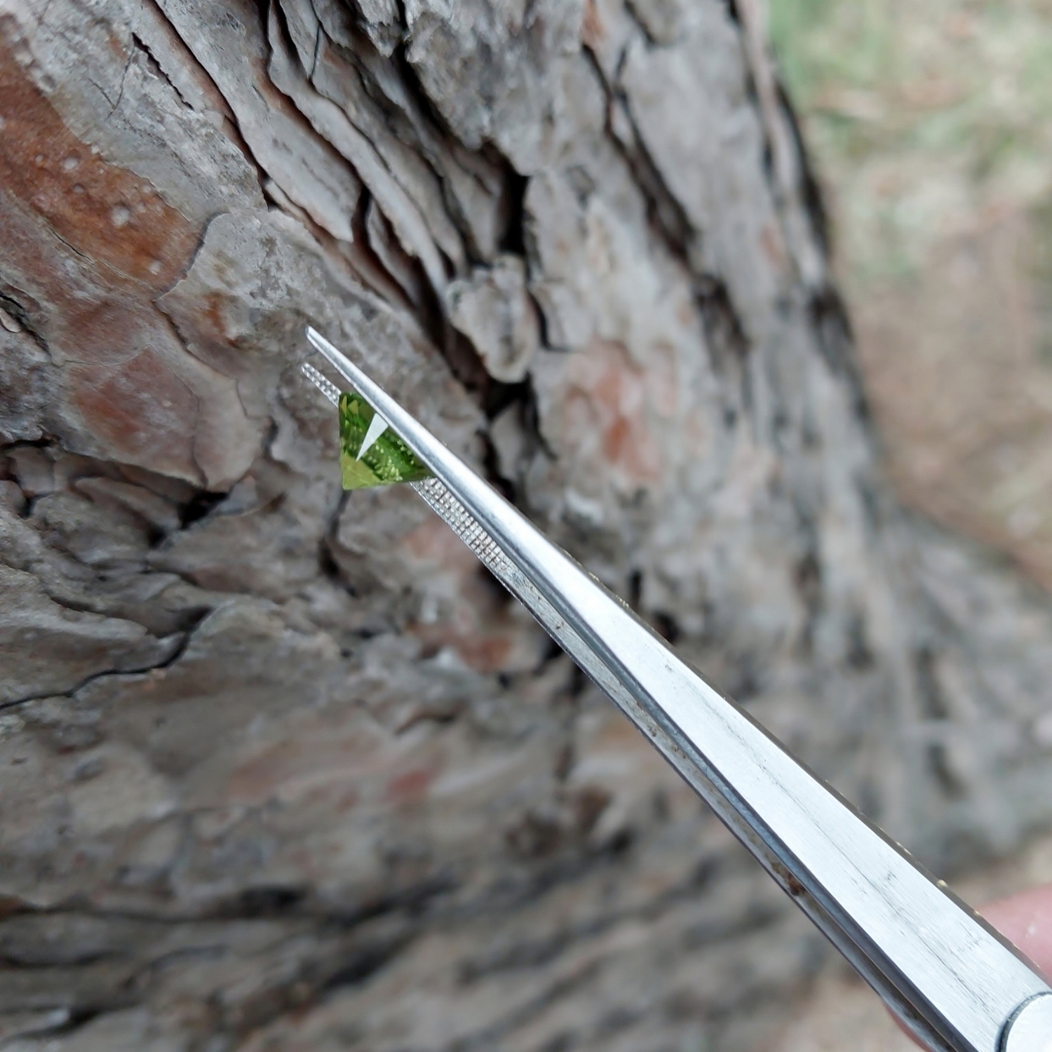 Fine Quality Bright and Pretty Arizona Peridot 2.81 Carats Litnon.com
