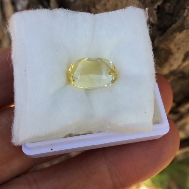 Big and Bright Natural  Yellow Sapphire Sri Lanka 9.80 Carats Litnon.com
