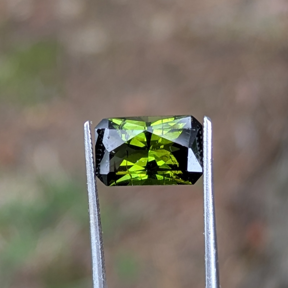 Pretty Green Tourmaline Mozambique 2.78 Carats Litnon.com