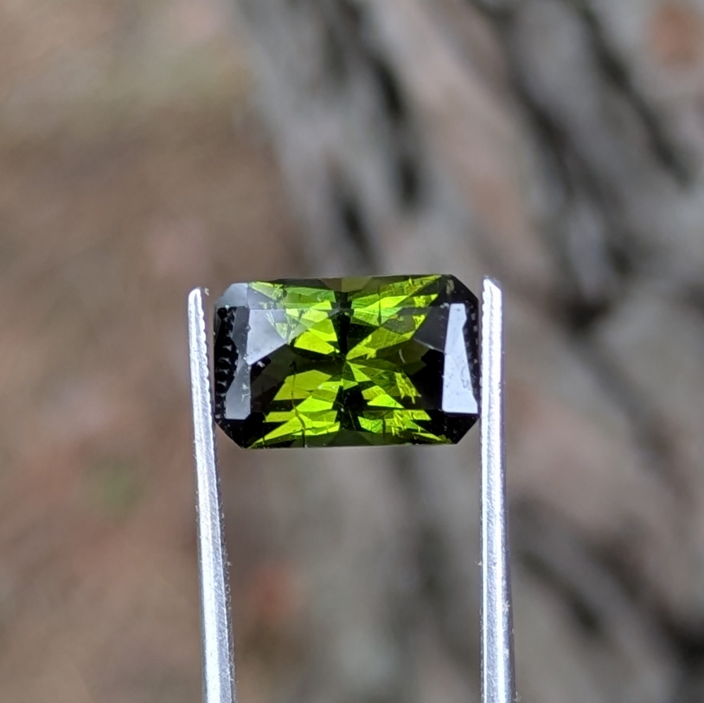 Pretty Green Tourmaline Mozambique 2.78 Carats Litnon.com