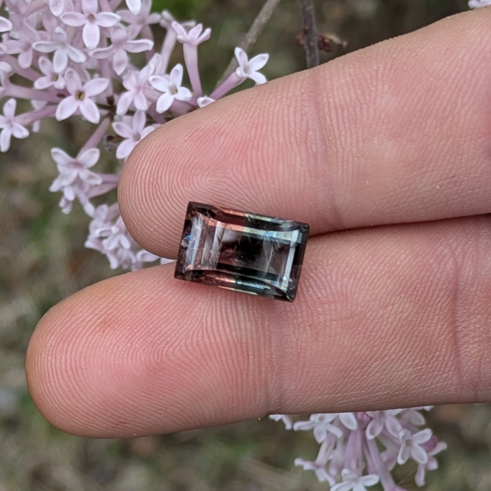 Colors Collectors Bi Color Tourmaline 7.65 Carats  Litnon.com