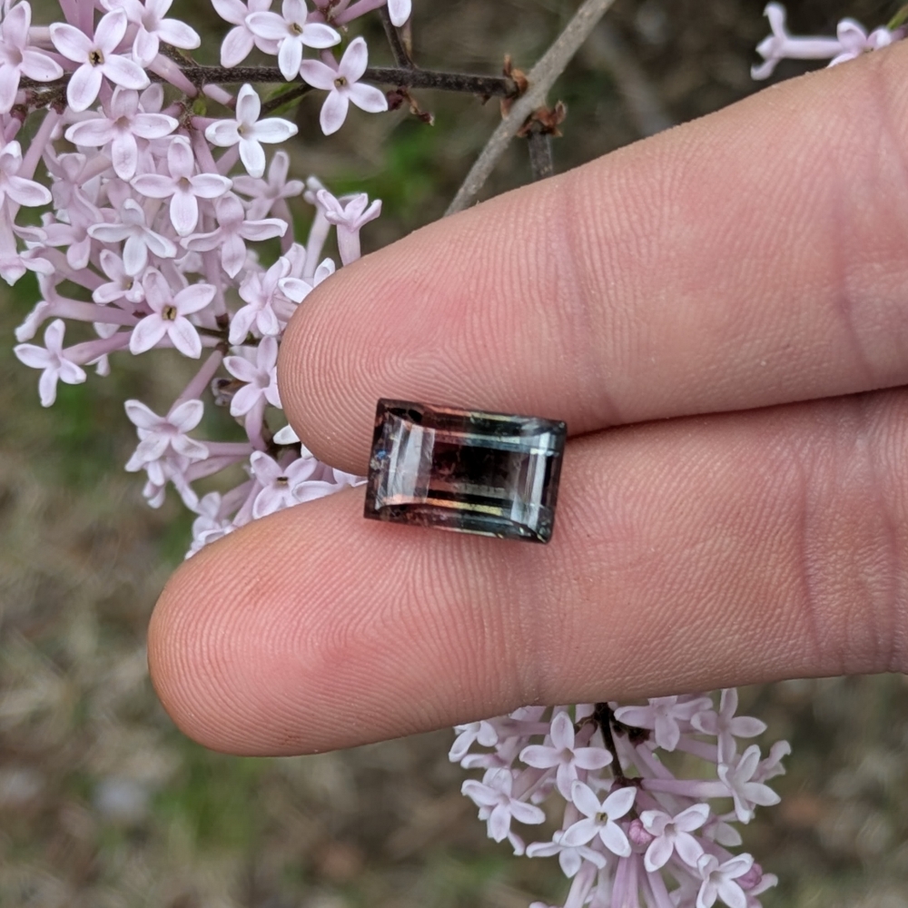 Colors Collectors Bi Color Tourmaline 7.65 Carats  Litnon.com