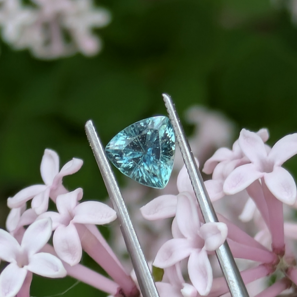 Moody Green Blue Montana Sapphire Sapphire 1.10 Carats Litnon.com