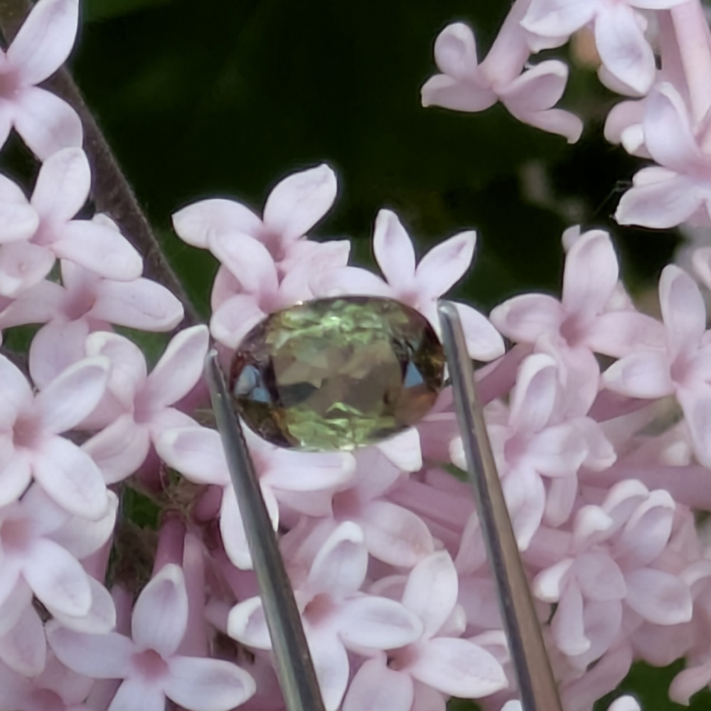 Well Cut Natural Andalusite Brazil 1.33 Carats Litnon.com