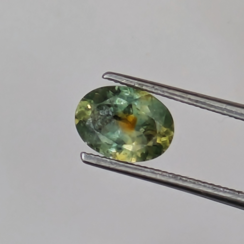 Very Pretty Green With Orange Yolk Montana Sapphire 0.90 Carats Litnon.com