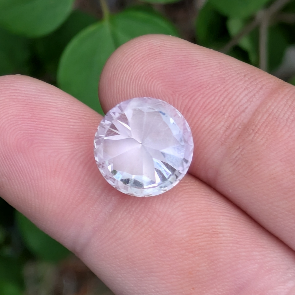 Pretty Rose De France Amethyst with Butterfly 8.66 Carats Litnon.com