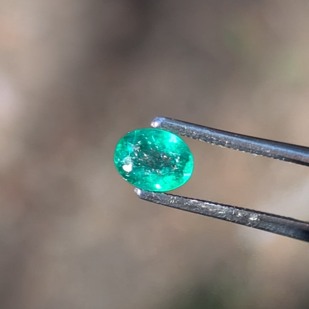 Natural Bright Fine Green Colombian Emerald 0.34 Carats Litnon.com
