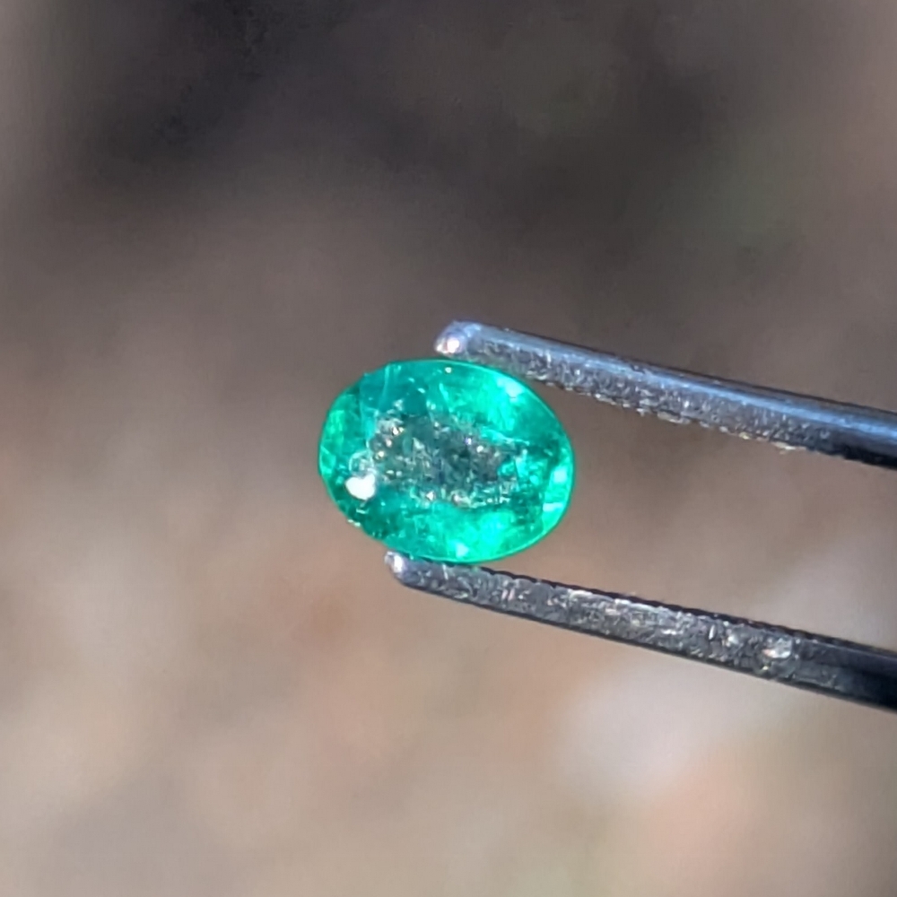 Natural Bright Fine Green Colombian Emerald 0.34 Carats Litnon.com