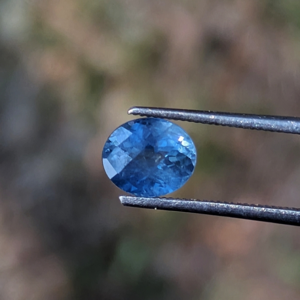 Natural Corn Flower Blue Montana Sapphire 1.23 Carats Litnon.com