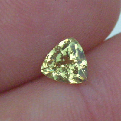 USA Cut Rare and Brilliant Canary Apatite 1.20 ct  Litnon.com