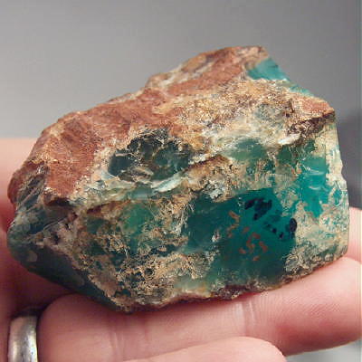 Rare Huge Block of Top Gem Gel Chrysoprase  Litnon.com