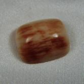 Prehistoric Mastodon Fossil Ivory Cab Canada 