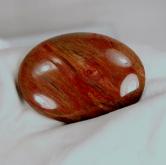 High Quality Big Petrified Wood Cabochon Arizona 