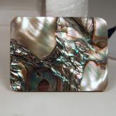 Color Iridescent California Red Abalone Cut Gem 