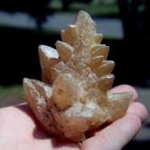 Special Cabinet Size Dog Tooth Calcite Specimen