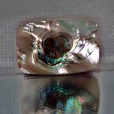 Color Iridescent California Red Abalone Cut Gem 