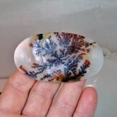 Museum Quality World Class Dendritic Agate 