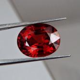  Color & Fire! Big Red Spessartite Garnet 11.33 ct! 