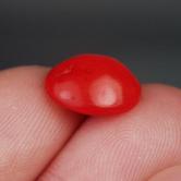 Rare Natural Ox Blood Coral Cab Italy 5.33 ct 