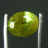 Jim Bought Rare Inclusions Old Mine Russian Demantoid Garnet 0.63 ct 