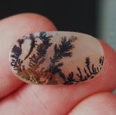 Rare Fine Quality Natural Dendritic Agate India 