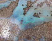  Big! Queensland Boulder Opal Specimen - Rough 200 grams 