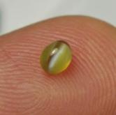 Tiny Treasure Cats Eye Chrysoberyl Brazil 0.50ct 