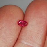 Tiny Treasure Old Stock Red Burmese Ruby 