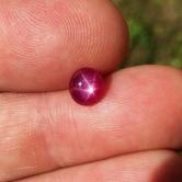 Fine Color Natural Burmese Star Ruby 1.62 ct 