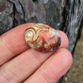 Rare Quality! Old Stock Crazy Lace Agate Mexico