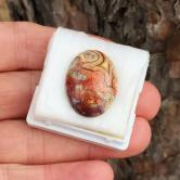 Rare Quality! Old Stock Crazy Lace Agate Mexico