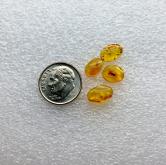Natural Baltic Insect Amber Cabochon Russia Lot 