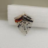 50.87 - Carat Montana Agate - Yellowstone River Natural Picture Stone