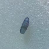 Color Shift Natural Ceylon Sapphire Crystal Terminated Specimen 3.97 Carats