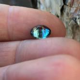American Gem Natural Montana Sapphire 2.48 Carats